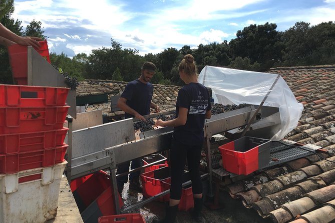 Private full day wine tour and Medieval Village from Montpellier - Exploring Saint-Guilhem-le-Désert, a UNESCO World Heritage Site