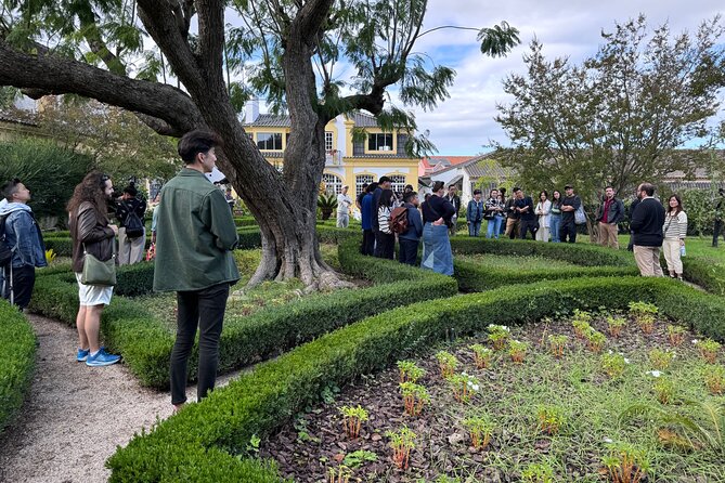 Private Full-Day Wine Tour Arrábida from Lisbon with Tastings - Logistics: How the Tour Runs and What’s Included