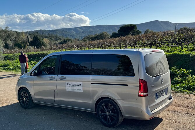 Private Full-Day Wine Tour Arrábida from Lisbon with Tastings - What Makes This Tour Stand Out Among Similar Experiences