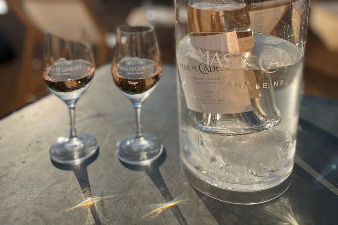 Private Full Day Wine Tour in Provence - The Wine Selection and Tasting Experience