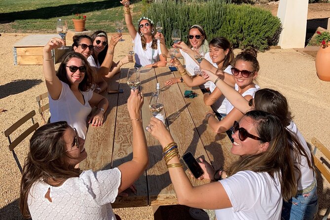 Private Full Day Wine Tour in Provence From Marseille cruise port - Exploring the Wineries in Provence