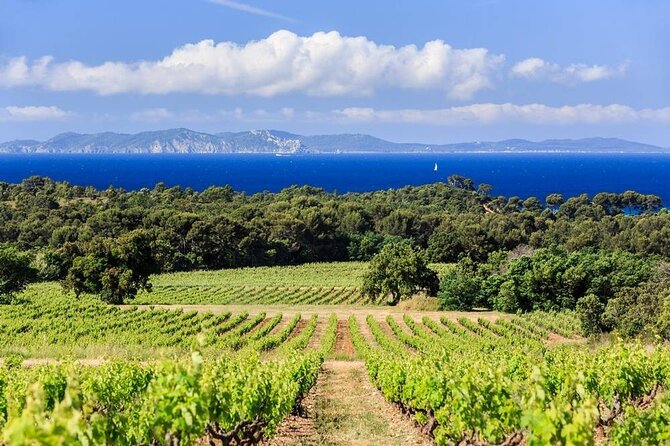 Private Full Day Wine Tour in Provence from Toulon Cruise Port - Discover Provençal Wines and Charming Towns on a Private Full-Day Tour from Toulon