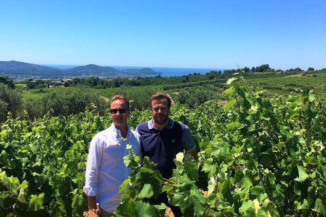Private Full Day Wine Tour in Provence from Toulon Cruise Port - Lunch and Exploration in Hyères or Nearby Towns