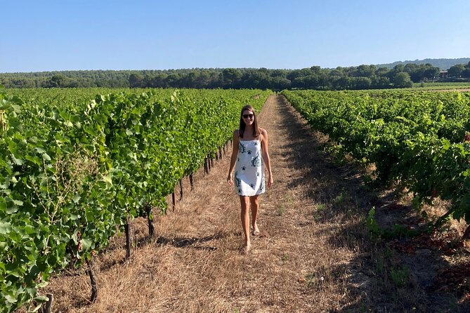 Private Full Day Wine Tour in Provence from Toulon Cruise Port - Visiting a Seaside Town or Village in the Afternoon