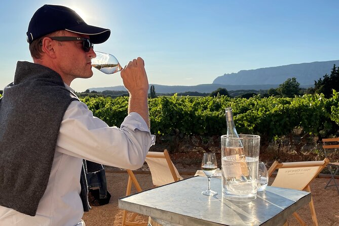 Private Full Day Wine Tour in Provence from Toulon Cruise Port - Expert-Guided Experience with Knowledgeable Guides