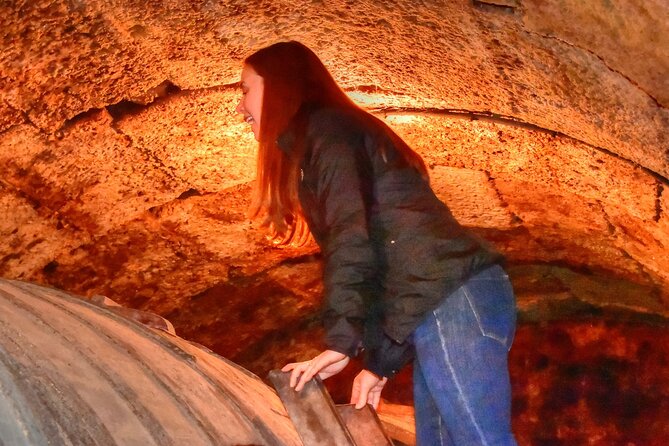 Private Full Day Wine Tour in Rioja - Experience the Best of Rioja on a Private Full-Day Tour from Pamplona