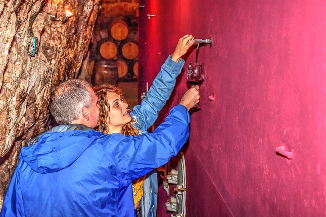 Private Full Day Wine Tour in Rioja - Exploring Rioja’s Historic Wineries