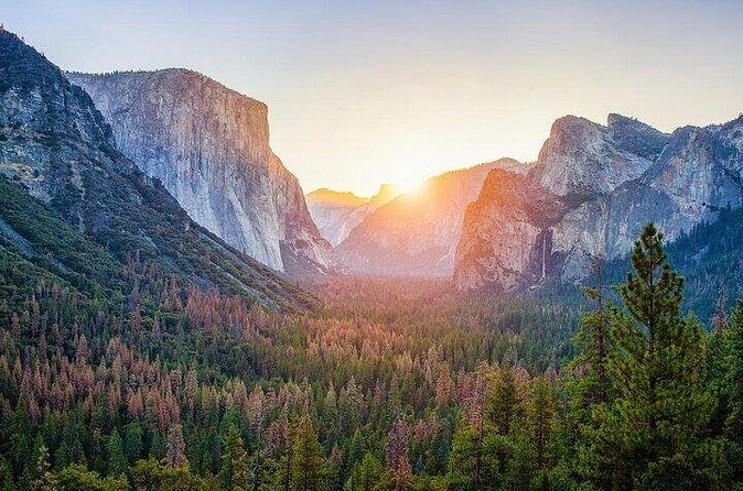 Private Full Day Yosemite National Park Tour from Oakland - Comfortable Transportation and Expert Guidance