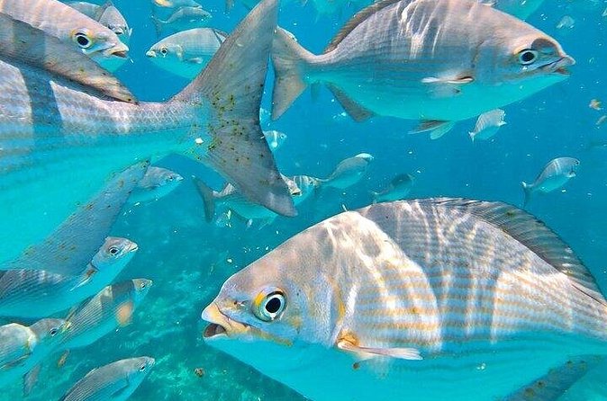 Private Fun Fishing Charter - Pricing and Cancellation Policy