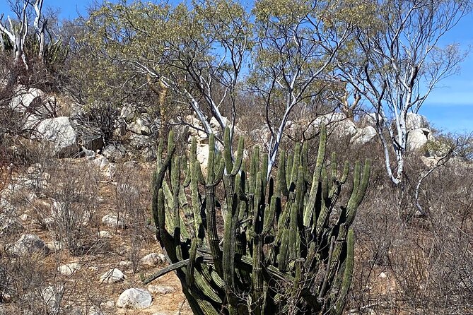 PRIVATE Fun Hiking Tour with Awesome Views - Key Points