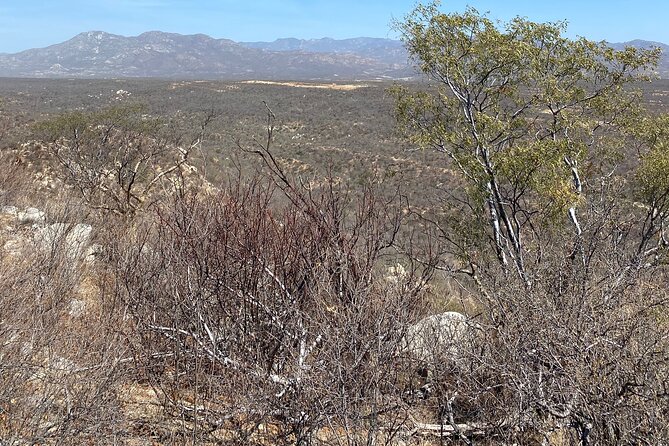 PRIVATE Fun Hiking Tour with Awesome Views - The Trails Highlighted Features and Scenery