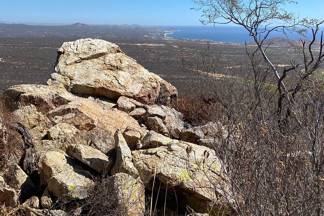 PRIVATE Fun Hiking Tour with Awesome Views - The Experience of the Guide: Knowledge and Personal Touches