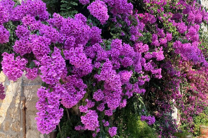 Private Game of Thrones Tour with King's Landing Garden - Key Points