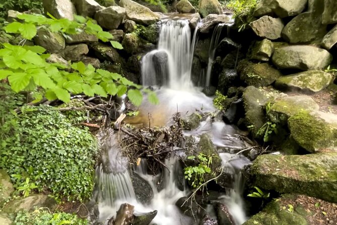 Private Garden of Ireland Wicklow Tour from Dublin - Explore Wicklow’s Iconic Locations on a Private Day Trip from Dublin