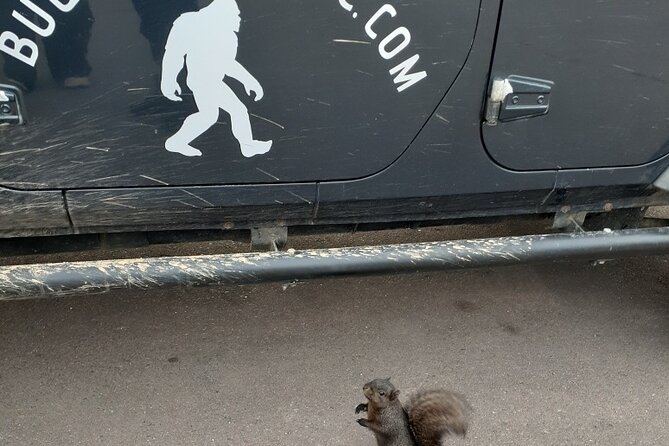 Private Garden of the Gods Jeep Tour - Logistics and Group Experience