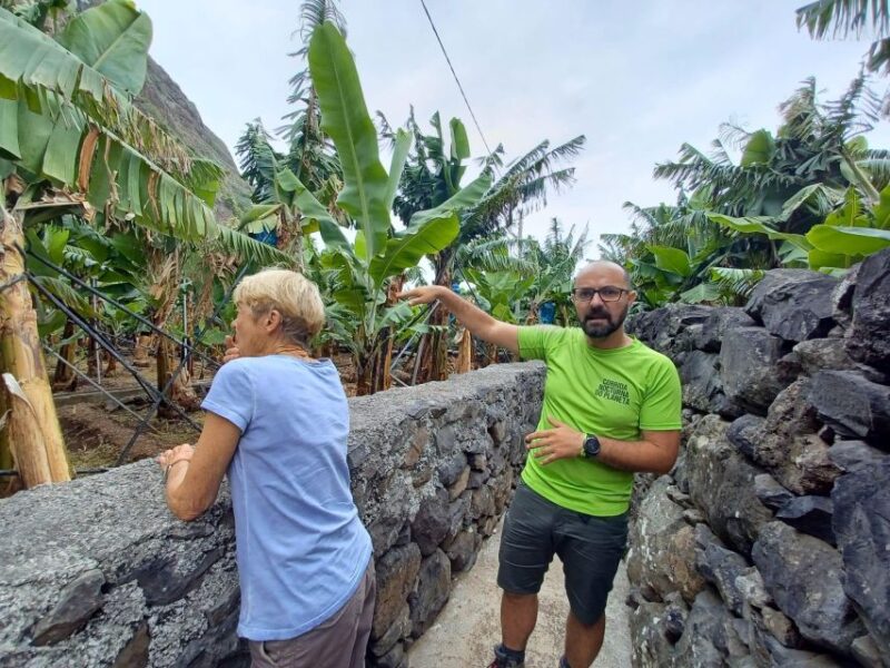 Private - Gastro Hike with Levada Walk and Local Food - Savoring Traditional Poncha and Learning Its Origins
