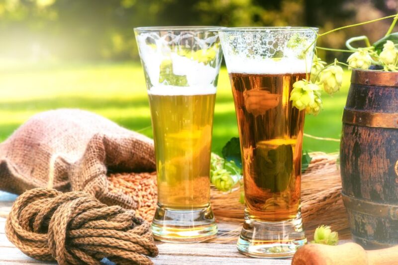 Private German Beer Tasting Tour in Hamburg Old Town - Food Pairings and Hot Dishes in Hamburg