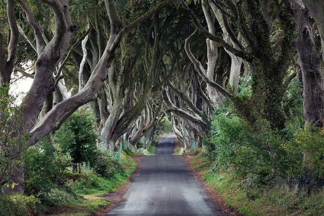 Private Giant's Causeway Tour including Game of Thrones Sites - Discovering the Charm of Ballintoy Harbour