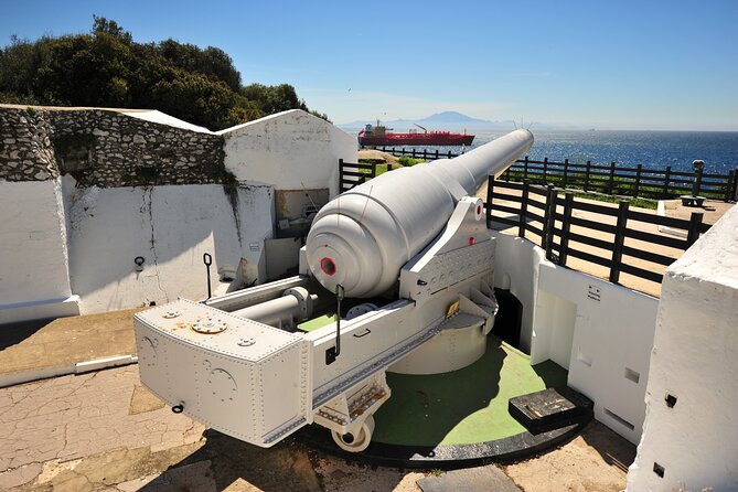 Private Gibraltar Victory Gold Tour 2.30hrs - Explore Gibraltars Iconic Sites on a Private 2.5-Hour Victory Gold Tour