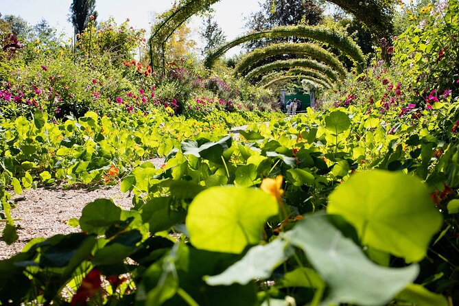 Private Giverny Half-day Trip from Paris by Mercedes Lunch option - Guided or Self-Guided Options for Personalised Experiences