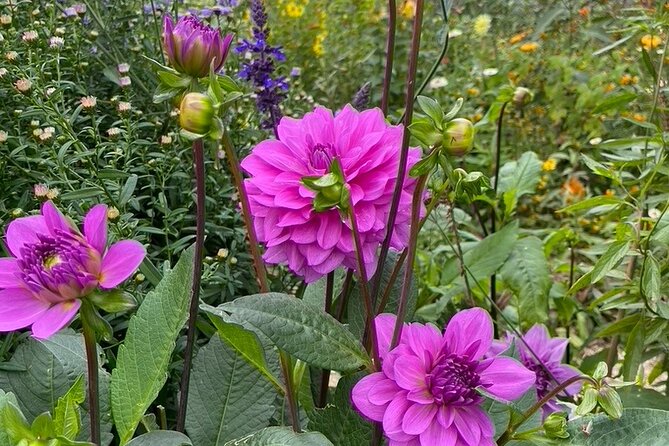 Private Giverny Roundtrip and Entrance Ticket from Paris - Highlights of the Tour Experience