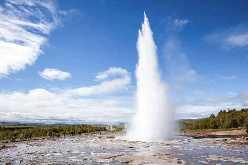 Private Golden Circle & Blue Lagoon with Friðheimar Farm - Logistics: Comfort and Flexibility in Every Detail