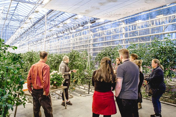 Private Golden Circle, Sky Lagoon and Friðheimar Greenhouse Lunch - Optional Additional Experiences and Crowd Management