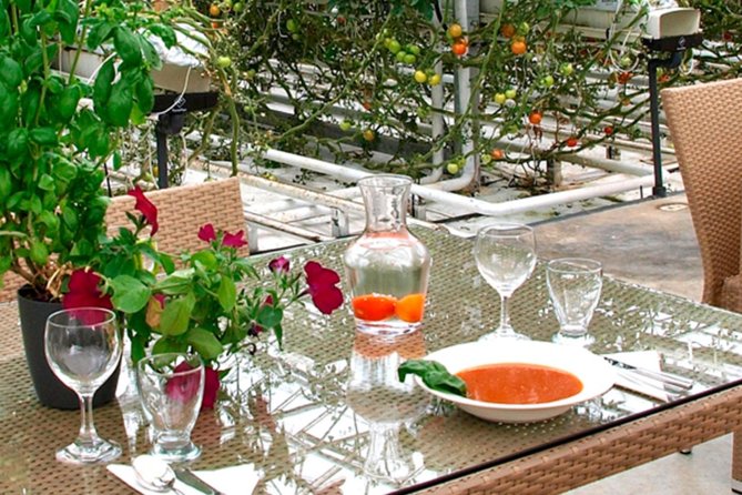 Private Golden Circle, Sky Lagoon and Friðheimar Greenhouse Lunch - Practical Details and Booking Information