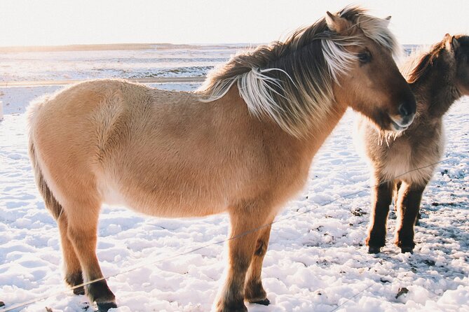 Private Golden Circle & Sky Lagoon Transfer and lunch (Up to 8 P) - Exploring the Kerid Crater