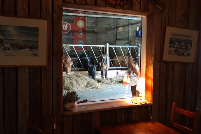 Private Golden Circle Tour from Reykjavik - Bonus Photo Stops and Scenic Overlooks