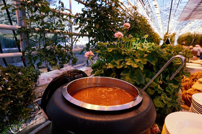 Private Golden Circle with Photographer, Lunch & Secret Lagoon - Explore Þingvellir National Park’s UNESCO Heritage Site