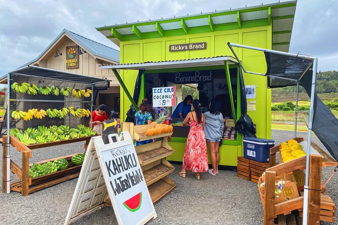 PRIVATE Grand Circle Island Tour (12 Stops) - Admire Chinaman’s Hat at Mokolii Island from Laie Point