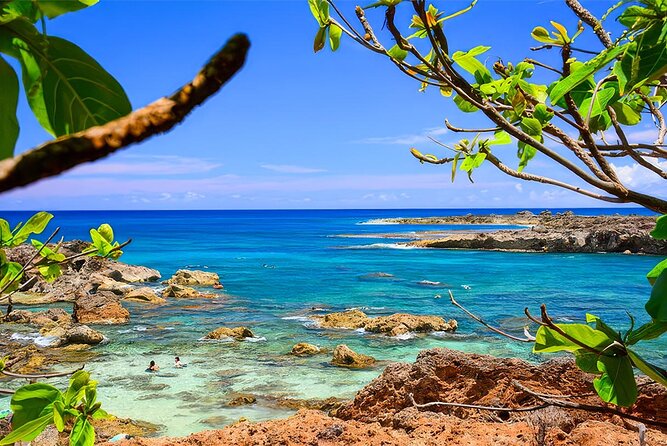 PRIVATE Grand Circle Island Tour (12 Stops) - Discover Local Fruits at Ricky’s Fruit Stand in Kula