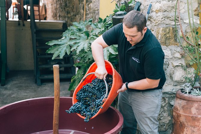 Private Grape stomping at Chianti Farmhouse - Key Points