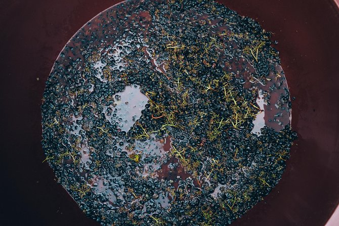 Private Grape stomping at Chianti Farmhouse - What to Expect During the Grape Stomping Activity