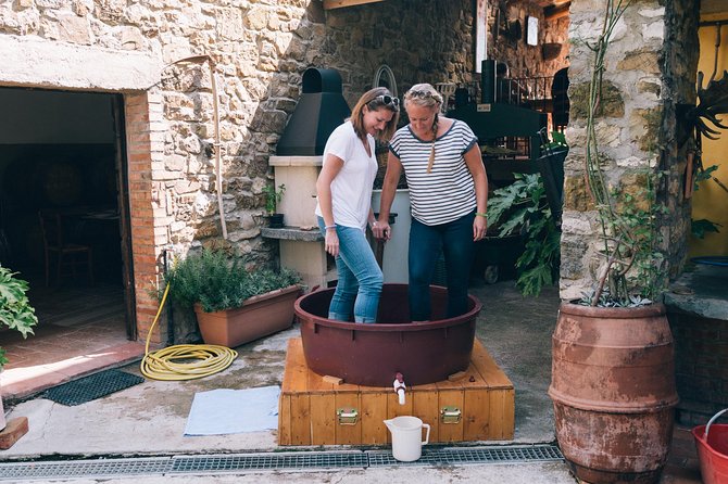 Private Grape stomping at Chianti Farmhouse - Is This Tour Worth the Price?