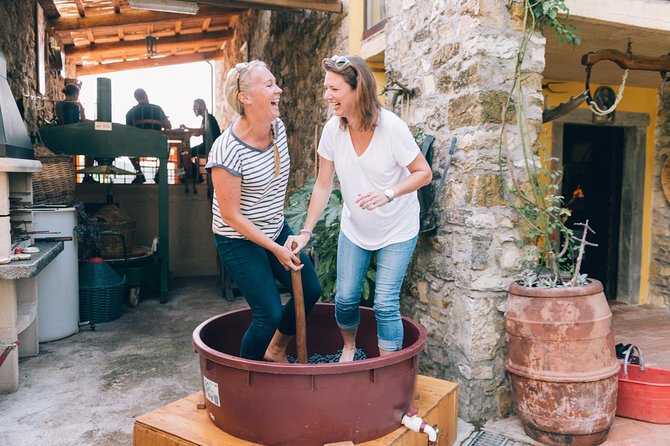 Private Grape stomping in Chianti from Siena - Starting Point and Tour Duration in Siena