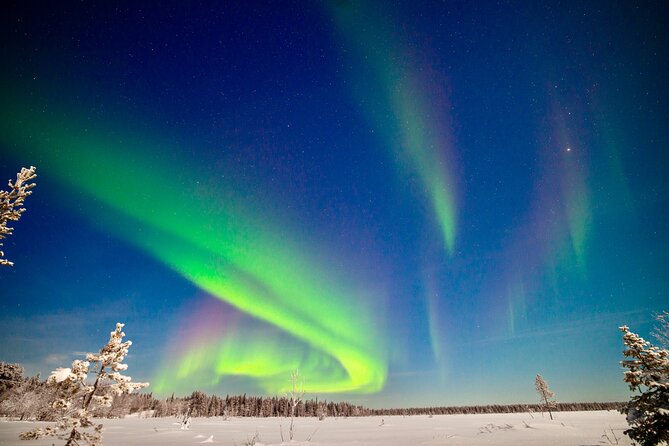 Private Group: Northern Lights Hunt 4x4 SUV with Aurora guarantee - Discover the Private Northern Lights Hunt in Levi, Finland