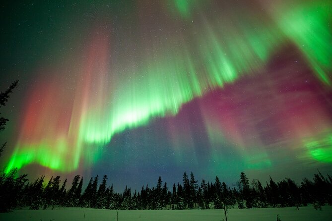 Private Group: Northern Lights Hunt 4x4 SUV with Aurora guarantee - Expert Guides and Local Knowledge