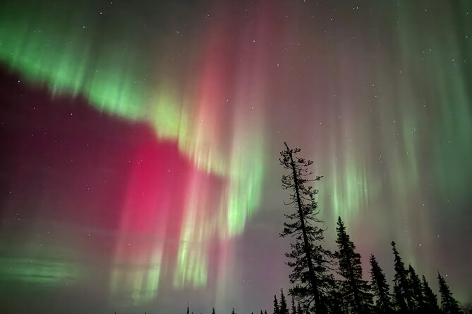 Private Group: Northern Lights Hunt 4x4 SUV with Aurora guarantee - Experience Duration and Flexibility