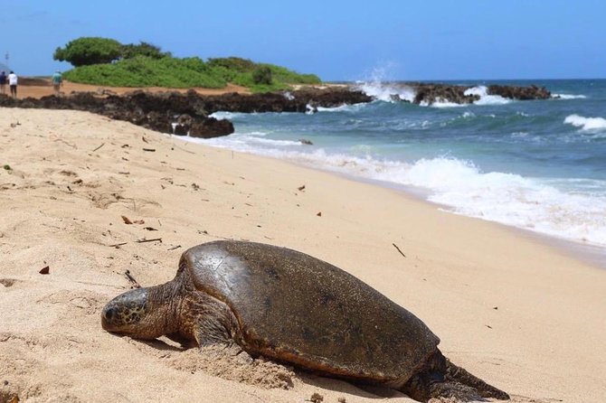 Private Group Surf Lesson - Cancellation Policy and Booking Flexibility