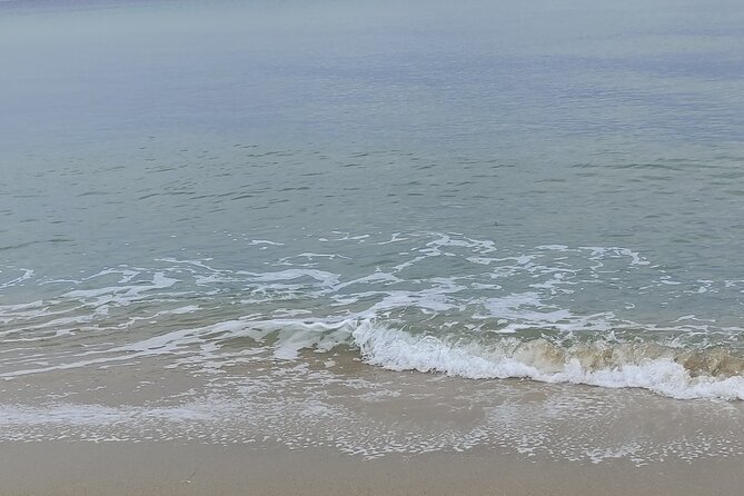 (Private group) Swimming and relax in beautiful beaches. - Visiting Donkey Beach and Sunny Beach in Chalkidiki