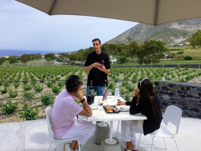 Private Group Visit to Akrotiri & 3 Wineries with Tastings - The Value of the Experience