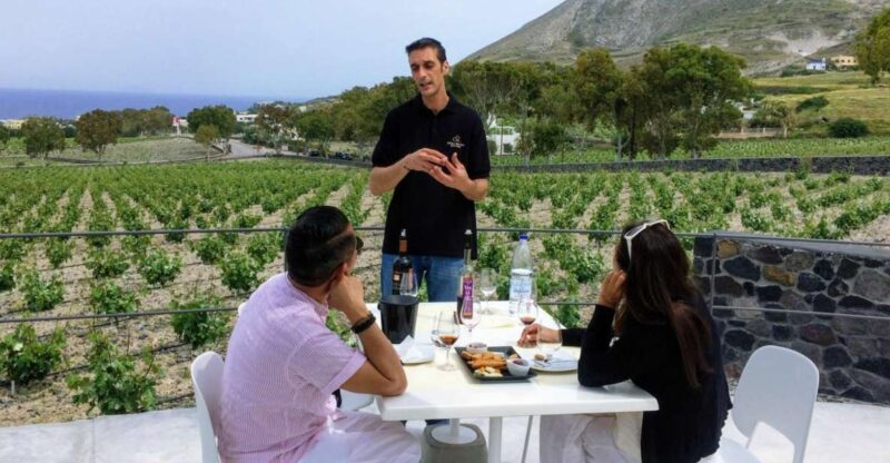 Private Group Visit to Akrotiri & 3 Wineries with Tastings - Who Will Enjoy This Tour Most?