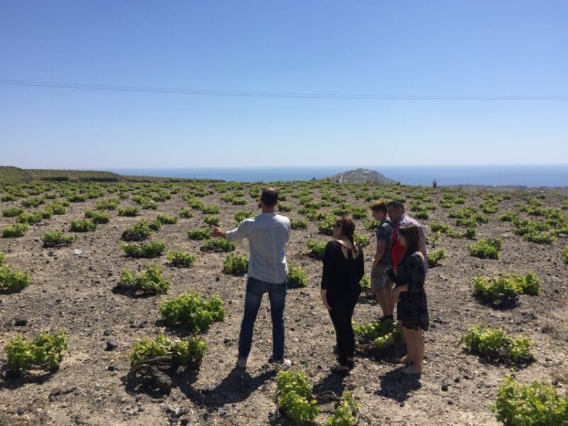 Private Group Visit to Akrotiri & 3 Wineries with Tastings - Final Thoughts on the Akrotiri & Wineries Tour