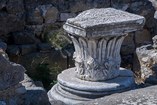 Private guide Archaeological ruins of Cannae: Hannibal's victory over the Romans - The Guide’s Expertise and Commentary Style