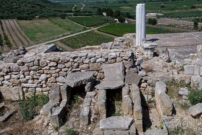 Private guide Archaeological ruins of Cannae: Hannibal's victory over the Romans - Who Would Most Benefit from This Tour