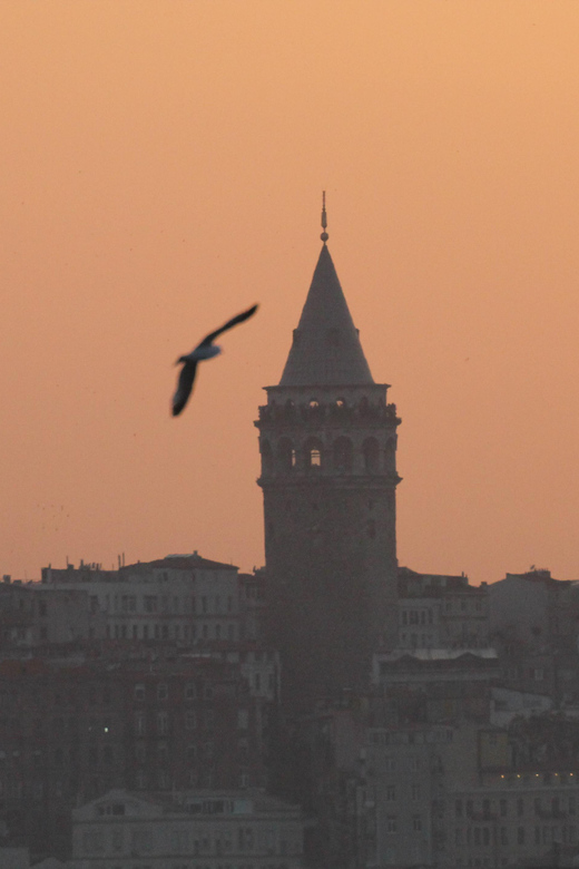 Private Guide in Istanbul Old City - Pricing, Cancellation Policy, and Booking Flexibility