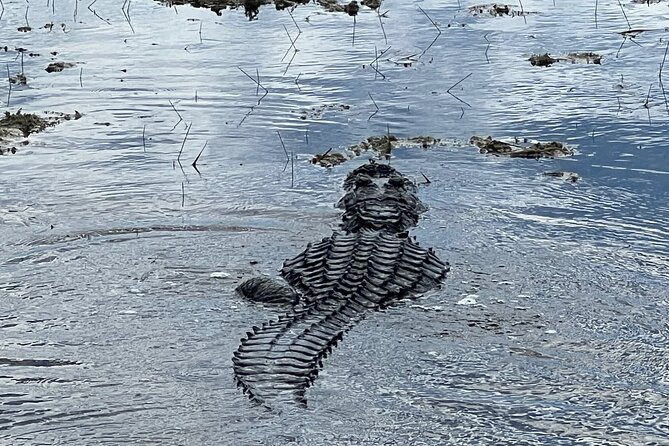 Private Guided Airboat Tour in Everglades, Fort Lauderdale - Key Points