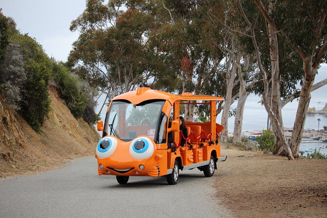 Private Guided City Tour up to 12 Passengers - Explore Avalon from a Unique Fish-Shaped Golf Cart